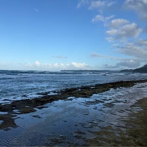 Aloha! Nice to meet you!